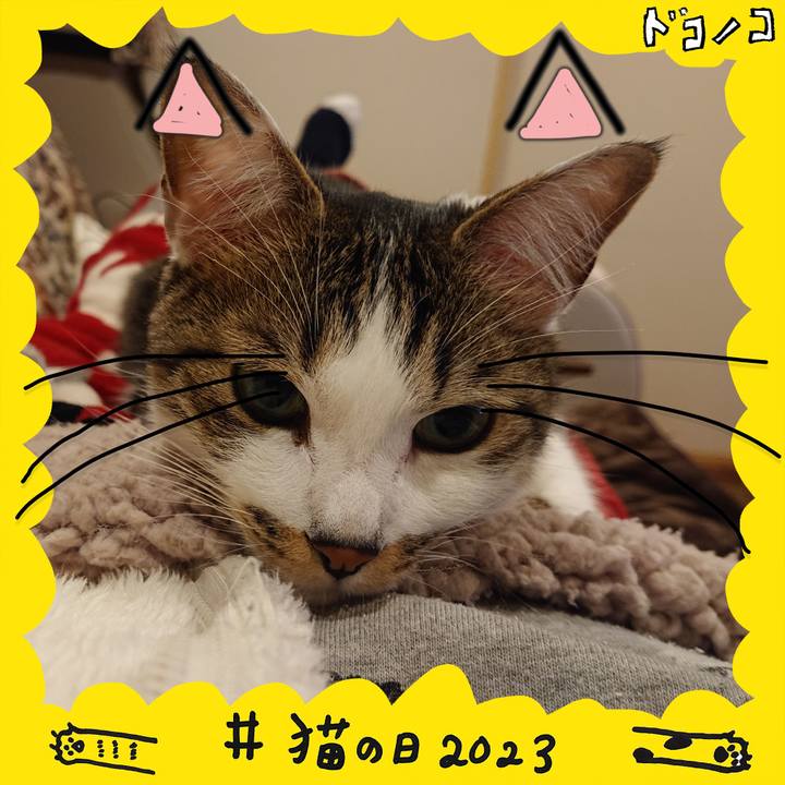 4681e14c b7bd 4ae4 8d6c f3e1206addaa 1677062178386