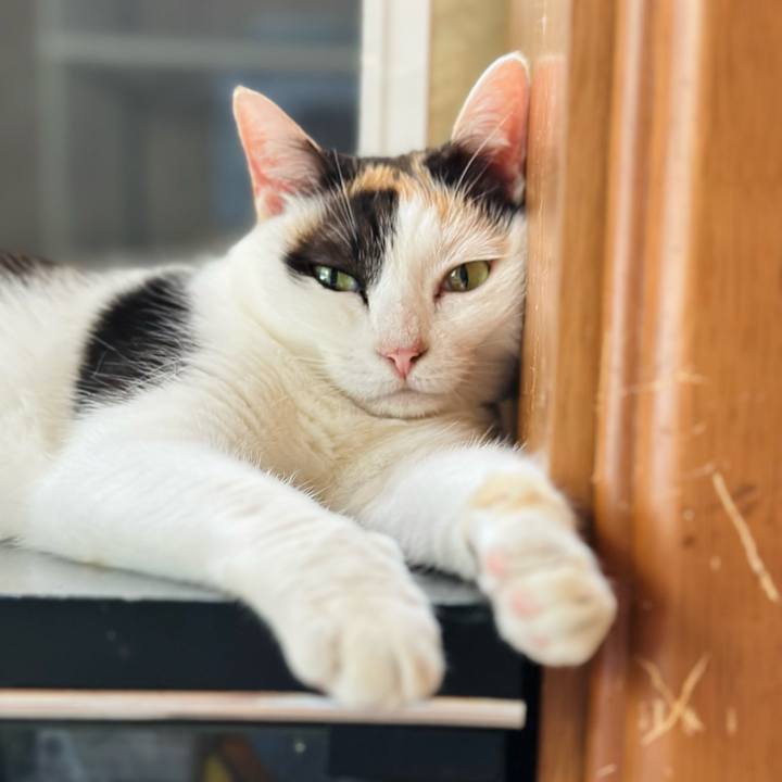 4681f91e 81fe 4deb b9dd 95d3711d8427 1691109408537