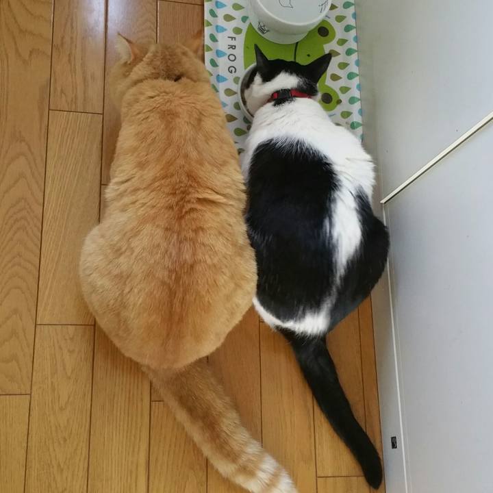 468226dd 9696 4c91 b621 0c0d44bb0605 1549846597395