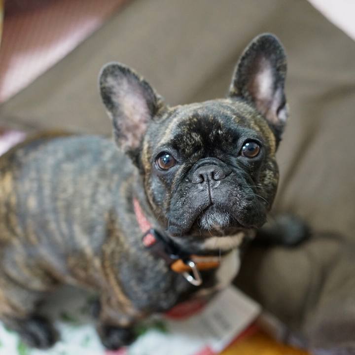 46826cc8 75ac 4a7e a539 e825409b6156 1513950896612