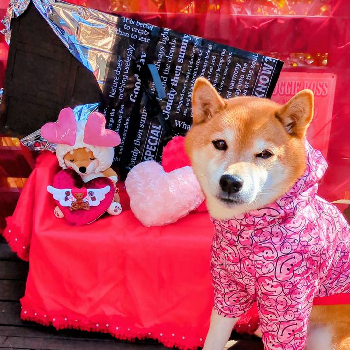 46828361 9c14 4b3f b3f2 66542a37b061 1771033179561