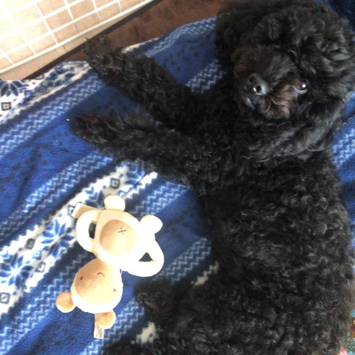 4682aa39 0a0f 41de a166 d12247f596bb 1546843634298