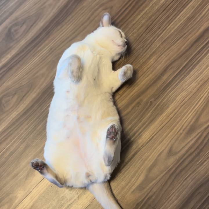 4682c9c4 417c 49b7 a0c9 6ee42720998b 1740366893479