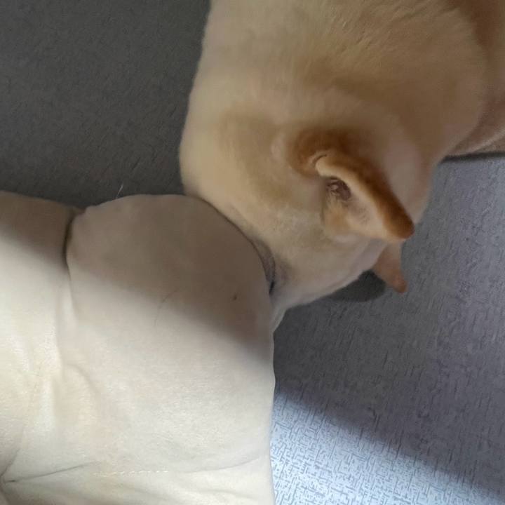 4682f624 237f 444d 8b42 0b31c623365a 1721021420688