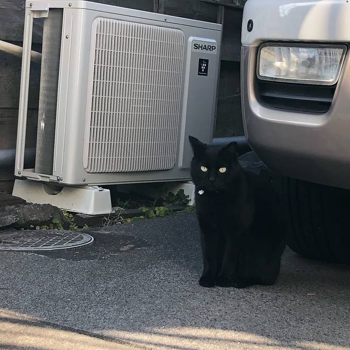 46832541 92d1 4868 bad7 da1e902b5a88 1583134915229