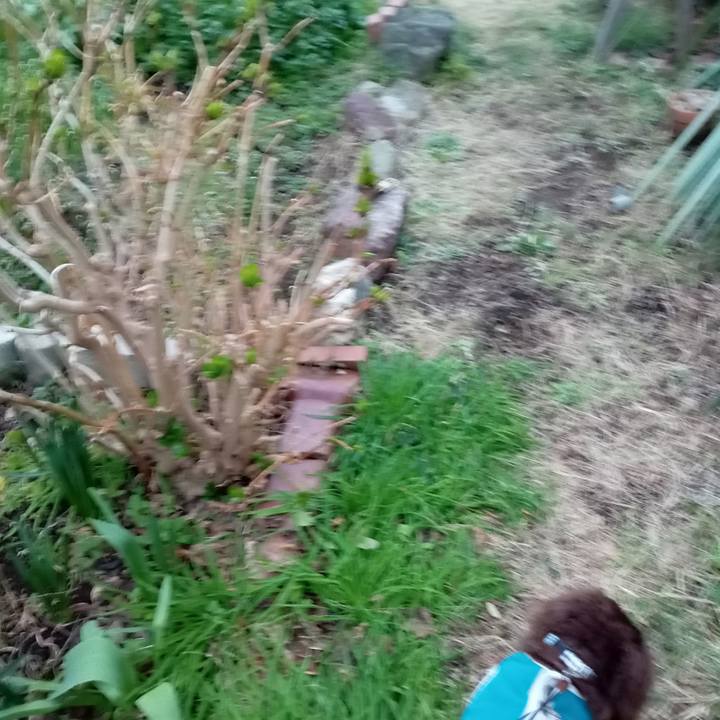 46832fb4 1722 47ce a964 bd01582e5831 1772923902067