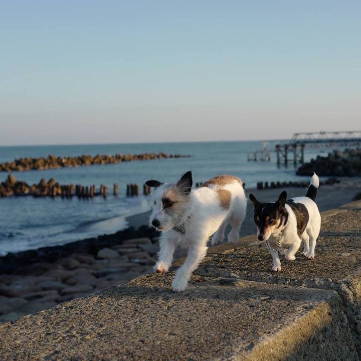 4683309a 2be0 4876 b9b0 a3398eeec091 1511843612793