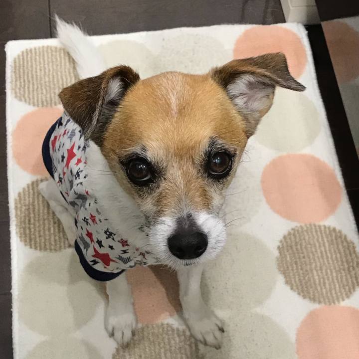 46834246 6d9d 43b4 8007 b6d6fe8cd291 1555497930069