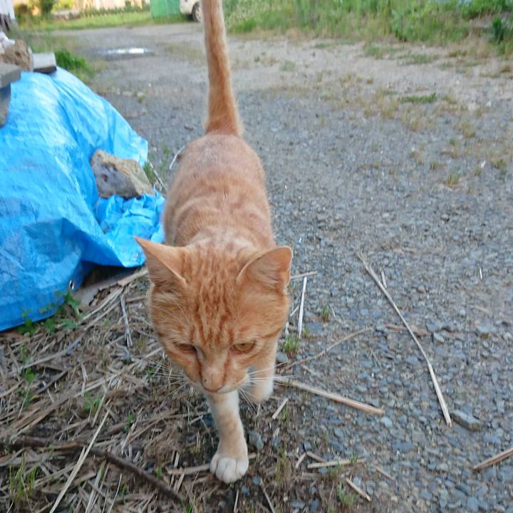 46838f1a 584d 40f0 ad80 191ce9f2efb3 1561455866162