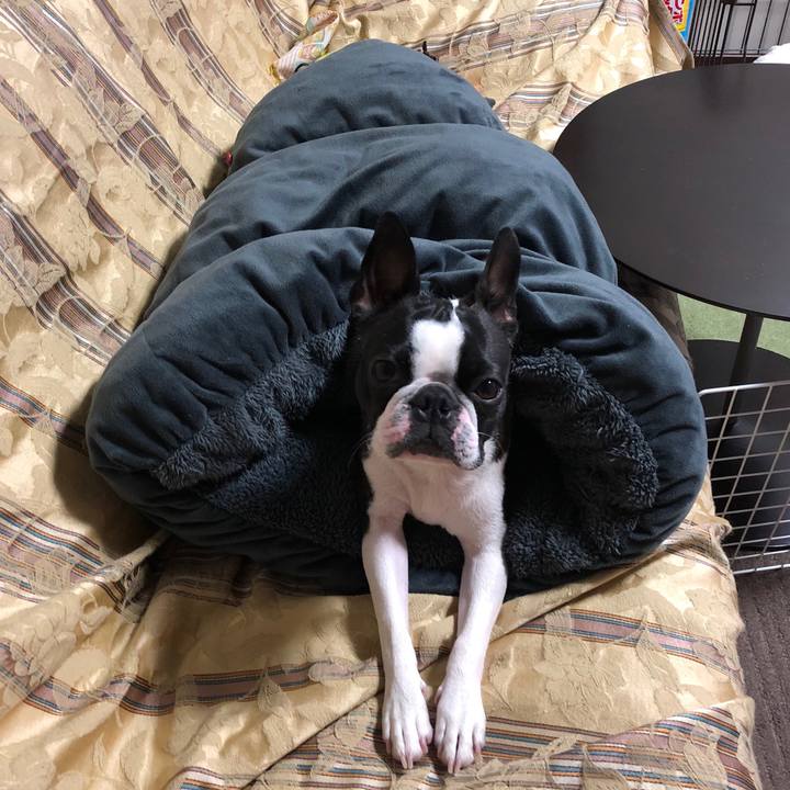 4683b925 dc67 407a b760 096c86d3e5d6 1521353901205