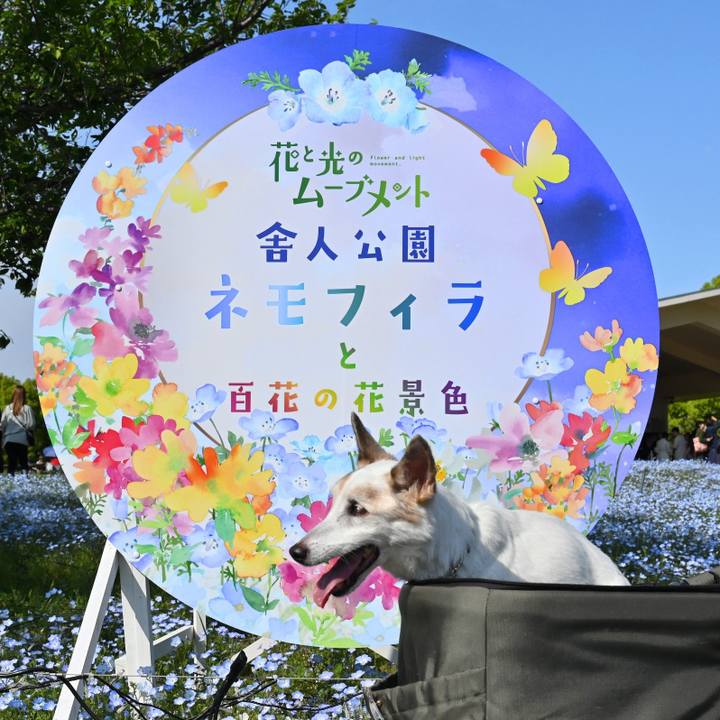 4683cc78 a223 4ed5 83fb 0f3b03242a54 1776686300036