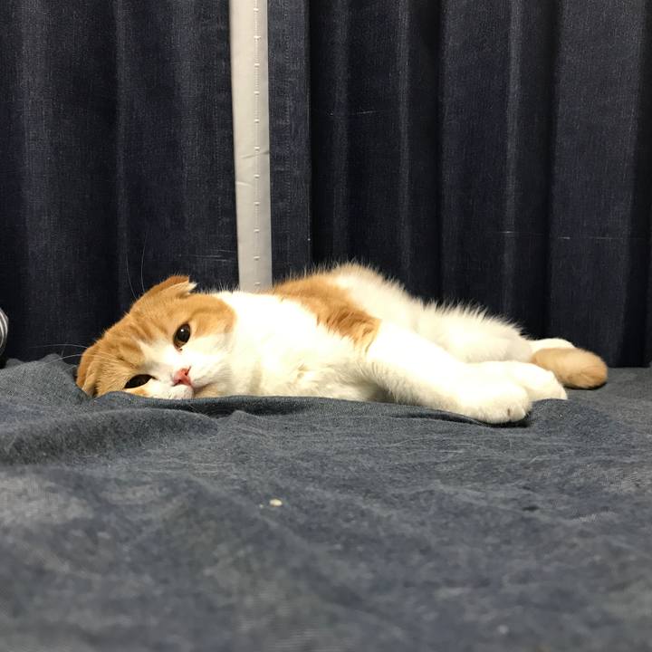 4683d5b7 3d02 4e5c b8e0 f95affaaf6fa 1510837628040