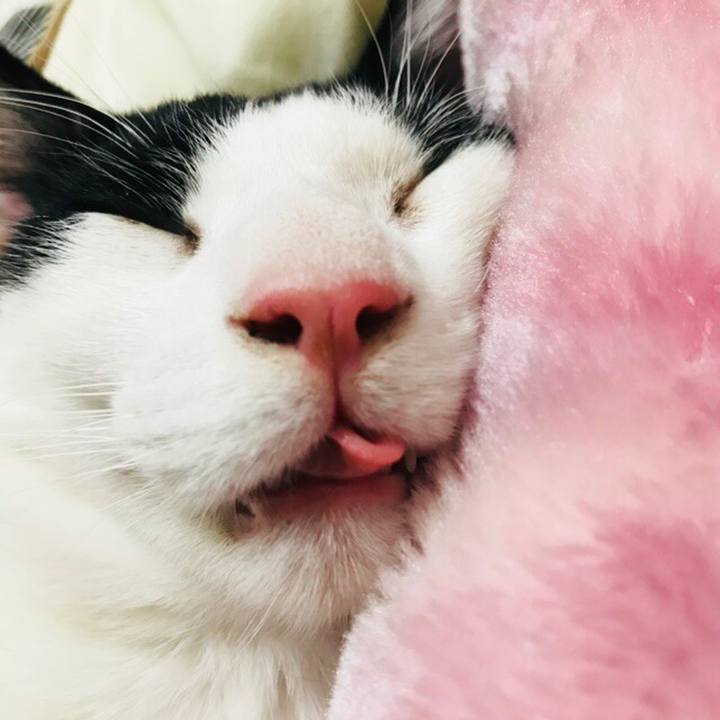 4683dcc7 f4c6 4286 8af7 4908c46b49b5 1514207260202