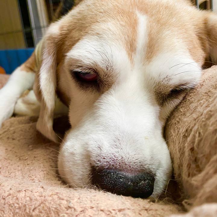 4683e1c1 522e 4e89 a1af 366a913d2d53 1598583543555