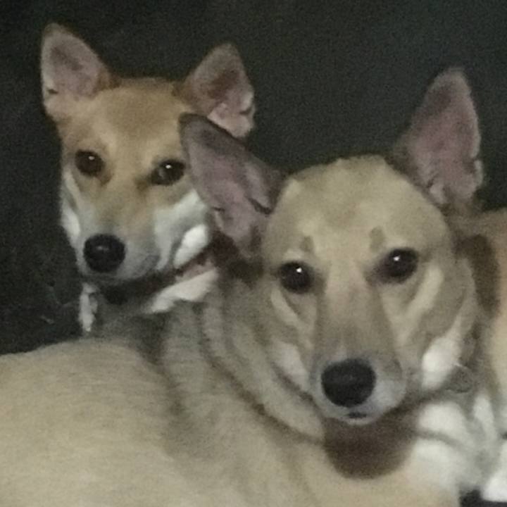 46845a92 7ad3 461a ac4b db0bfd442fe9 1535560395414