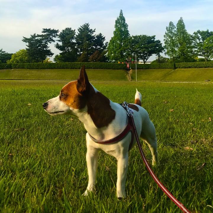 46846cd9 f0f8 4231 82cc a1d25e7a6e8b 1526040944617