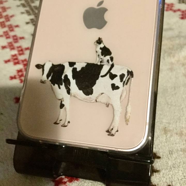 46849af0 c114 4832 bb4f da1e9eb1700c 1639660526426