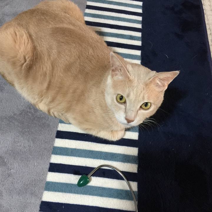 4684c47f e506 41de af6c ff4d0ce78808 1536019159453