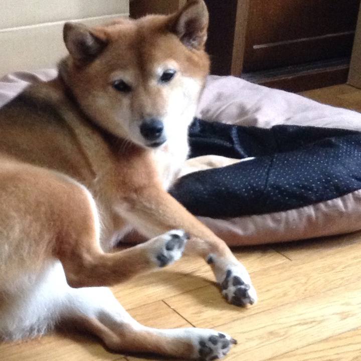 4684cf7a 15cc 44d2 8813 24cd1fb71e0d 1533942059978