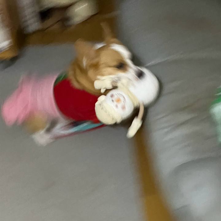 4684eb1a f69a 4287 8006 31f94734c458 1766622543079