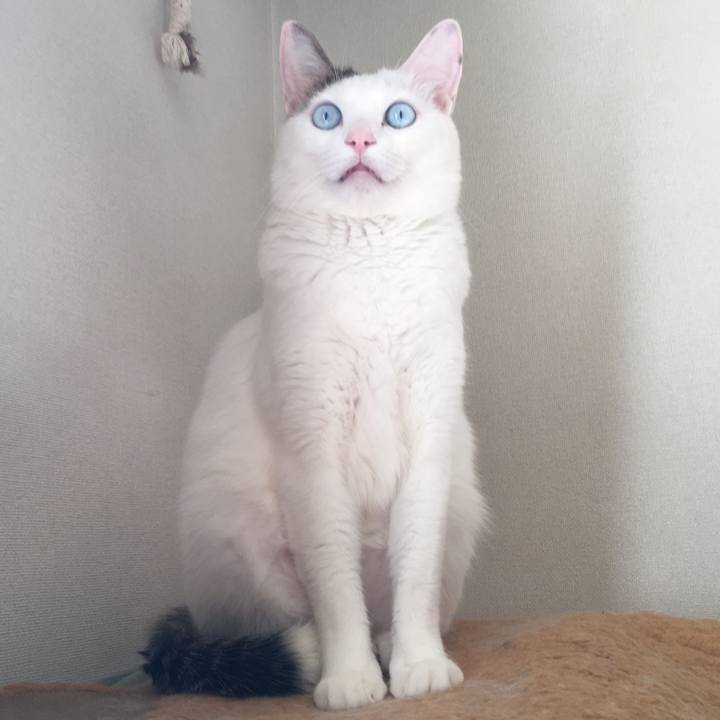 4684f1b7 581b 4247 80a2 67dd14be4a14 1547964595522