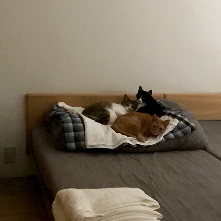 4684fdca 566c 4a3d 9fa4 3741ebd281f8 1565412614031