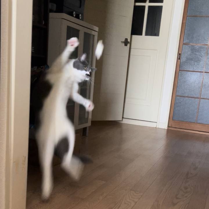 4684fe58 637c 43ed 8adc b2485b45810c 1721007552214