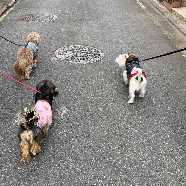 46857ba6 e7d0 4240 9988 fd4a98b38474 1673918848192