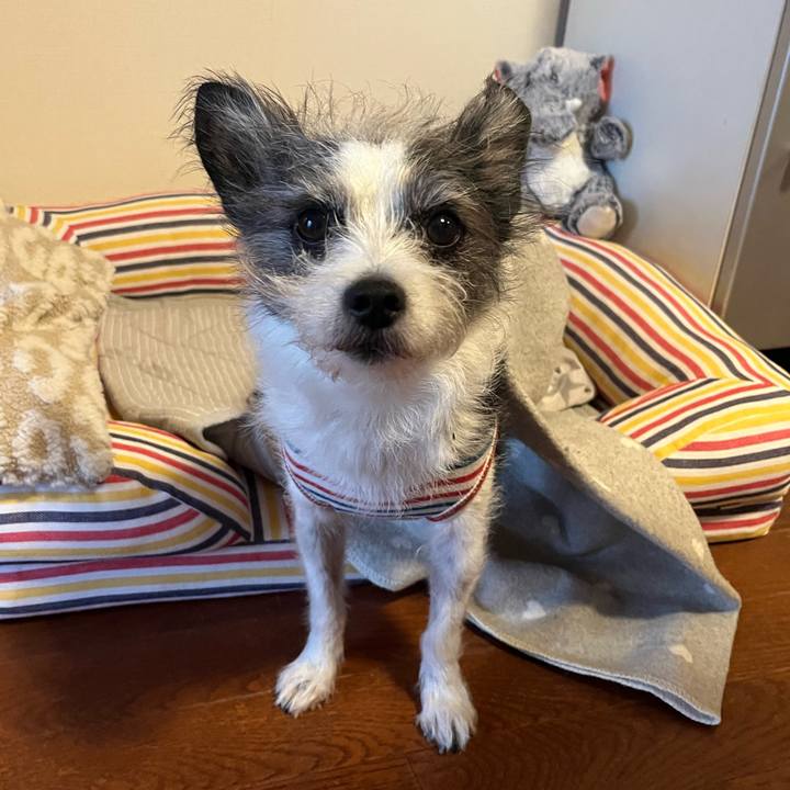 46858982 863b 4897 9122 eae774885d4c 1758237647065