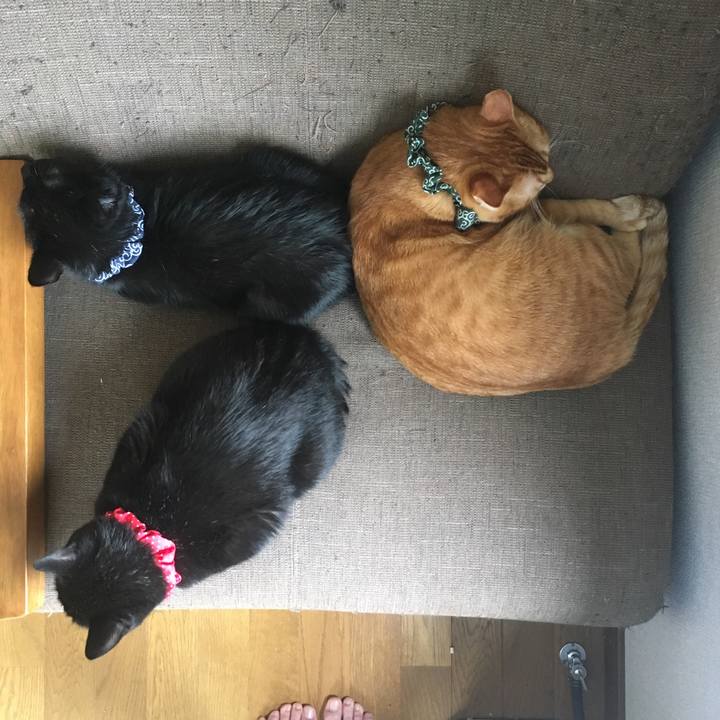 4685a5f1 662f 4ea5 9832 4ad13e80b8d0 1537580325378