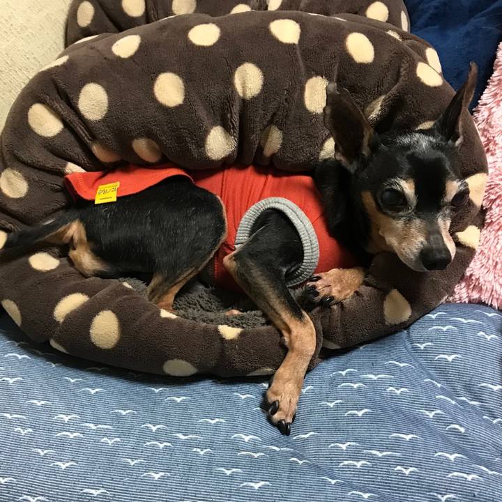 4685ecab 91e2 4a31 9f5d 6a39dad1e72b 1609287468144