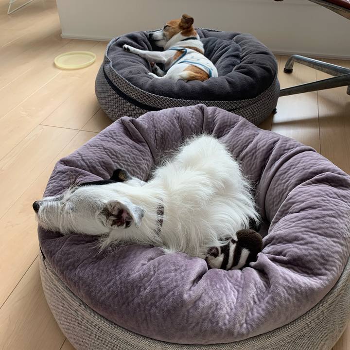 468600b8 aa23 4762 b85f 15d52efd9a3a 1633227175895