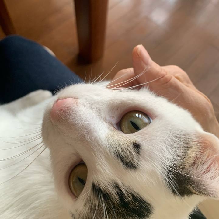 46861814 2aad 4816 b021 7fb939762f48 1613953229899