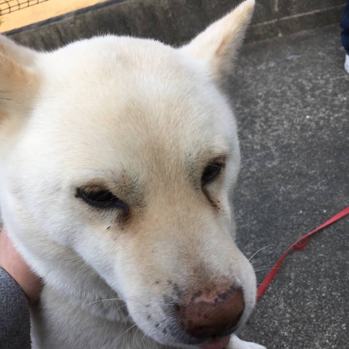 46861f62 2109 432c 9c1b 00b22709d289 1519477219103