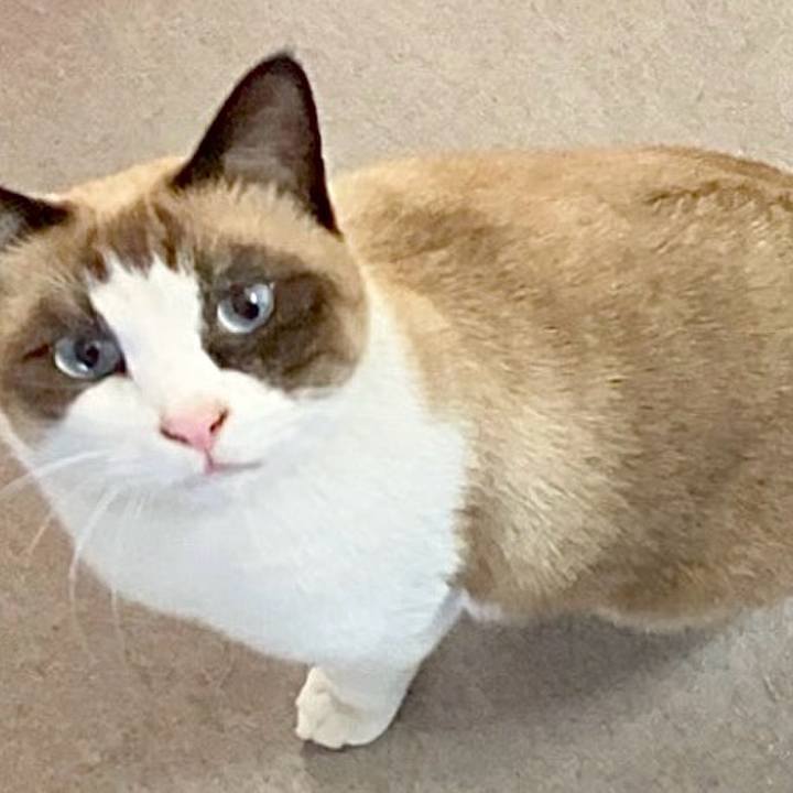 46862e60 a943 4542 a488 753ea339e49f 1732422788128