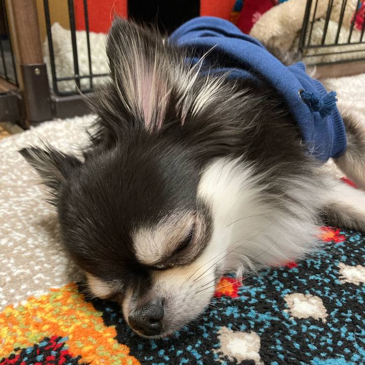 46864355 5c36 4adb a4d2 f14bfaeb93f3 1701600790003