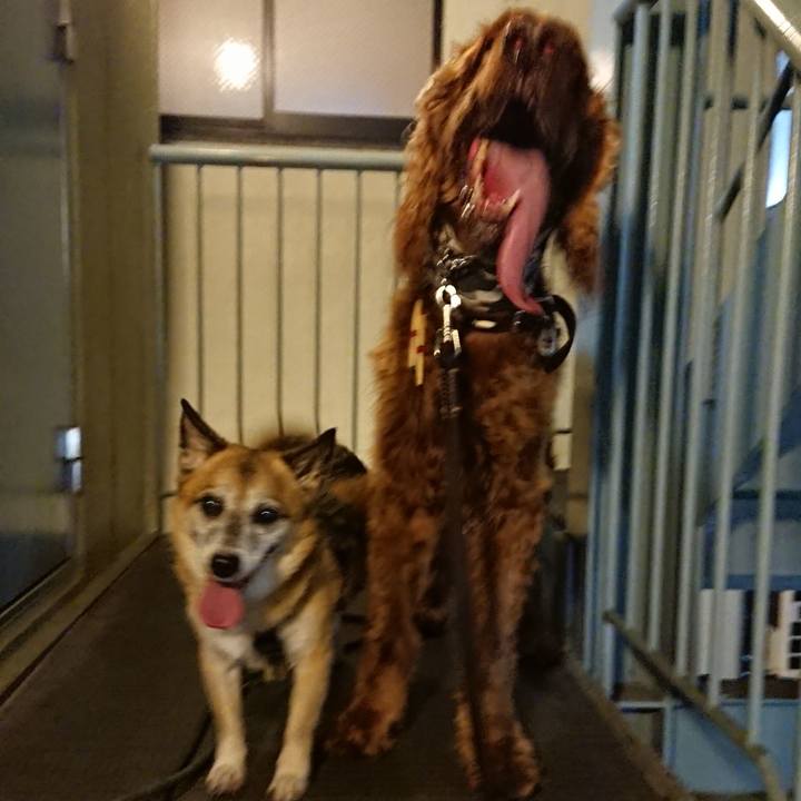 46864452 a003 405a 9bda d86f46e8e404 1563718428318