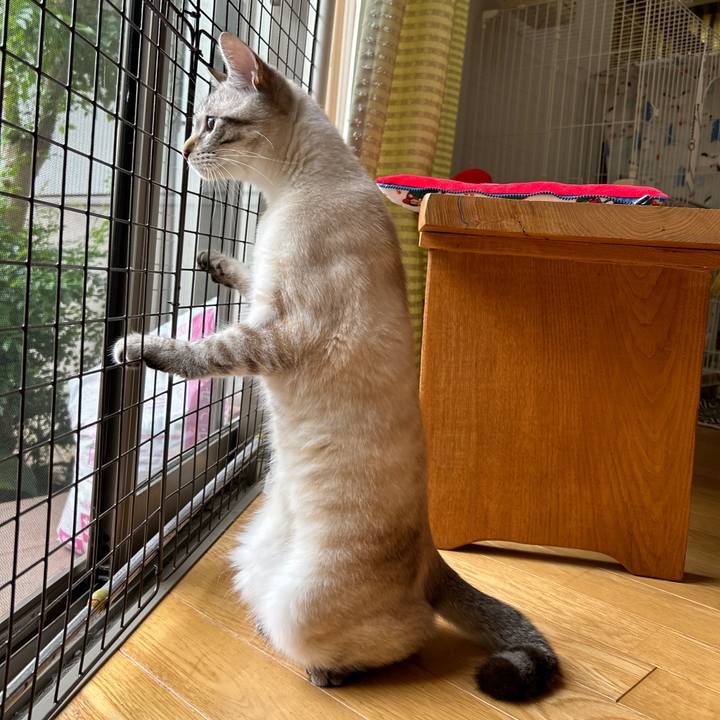 4686497c 7f42 4c30 8158 05e259bd68c5 1749616439721