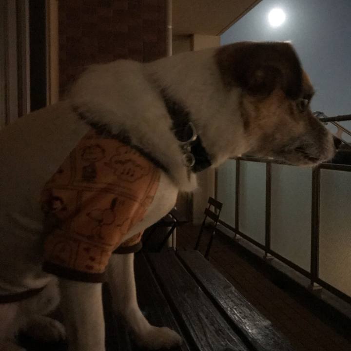 4686a4da a864 4cc8 a16a 8439bffac25e 1540473574201