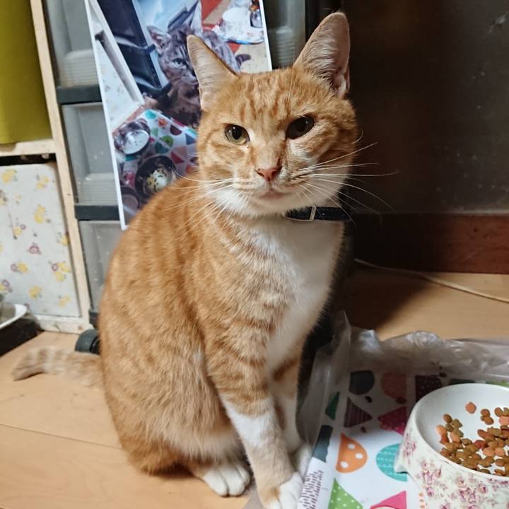 4686c8e1 35ad 4b17 86ab 01bceb2538f5 1601891197888