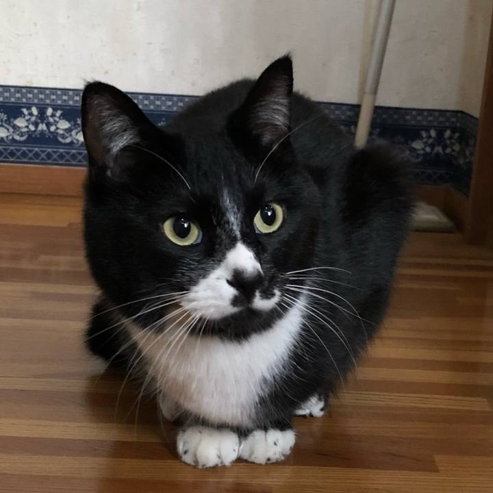 4687035c 07eb 438e 8026 8d37d30745b3 1586230952333