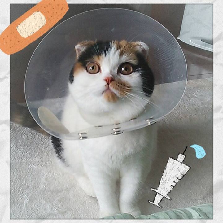 46870f3e 9044 44a5 bf1a 4c399ce51984 1562803329361