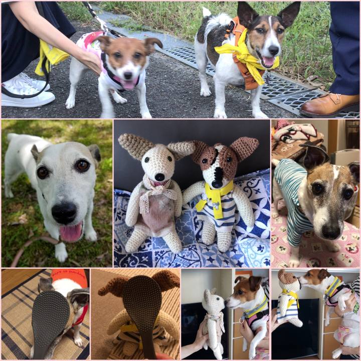 46871ae7 5d3f 4a6b ad0e 63e57624a62e 1537487848696