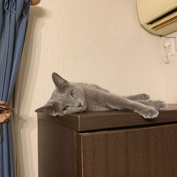 46872824 7789 4e0f 996b e33d12e91c9b 1668937387791