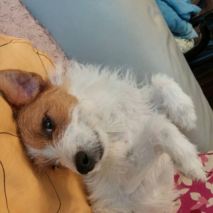 4687481c 36a1 43c1 85b4 dd35e37f61d7 1541635612764