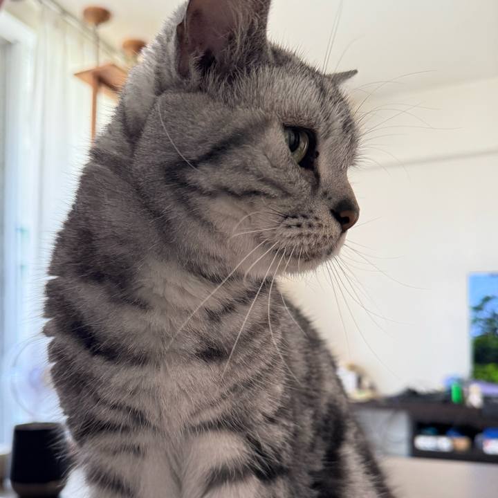 46874ad9 f531 4c5c 9221 2b038a0b97af 1759033813481