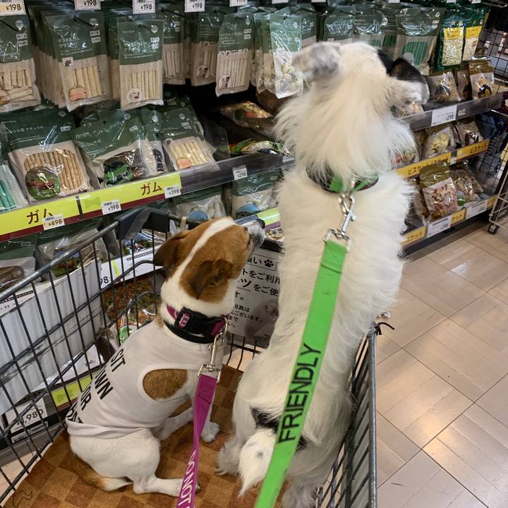 46874b88 0592 4072 aaec dbc744259442 1565240927386