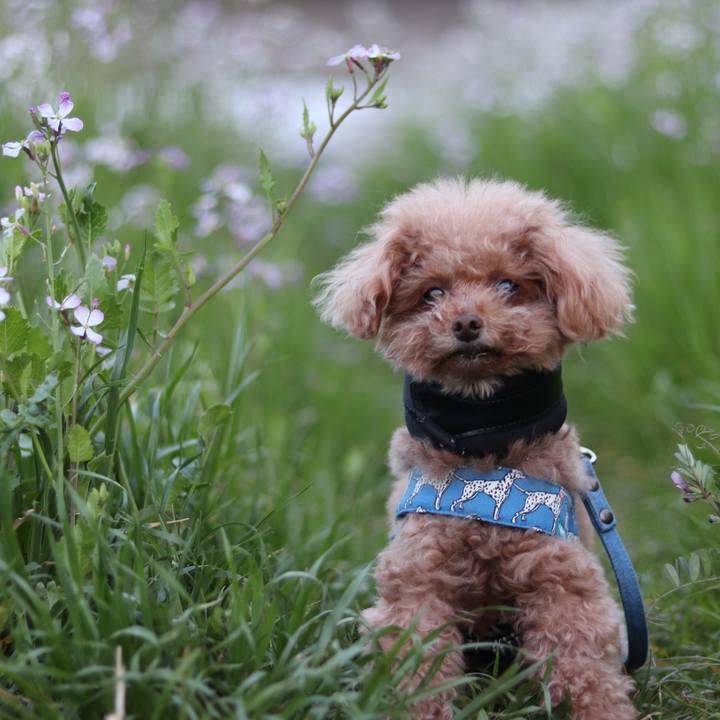 4687bbd2 797f 4d98 b569 5984187ed887 1554643079892