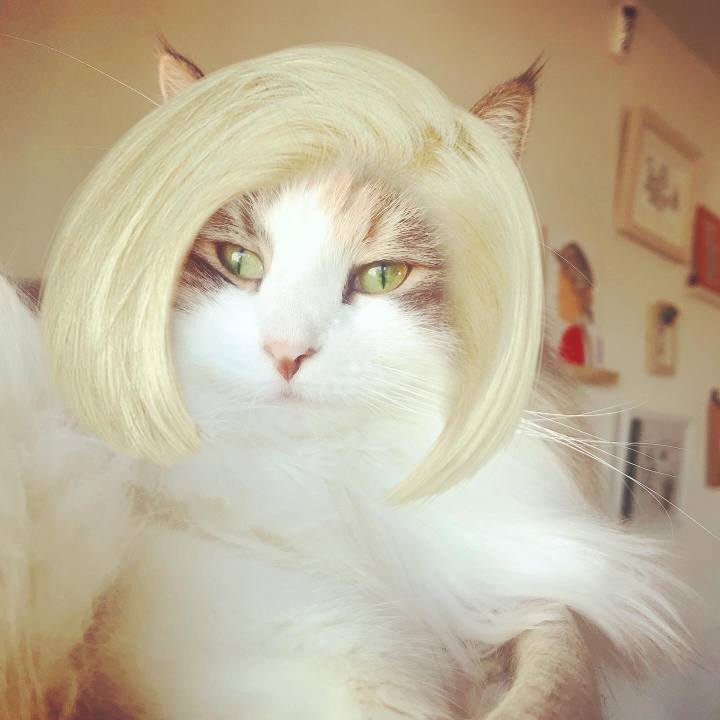 4687c87a 2e10 46eb 8f6e 284042933e4e 1579063713862