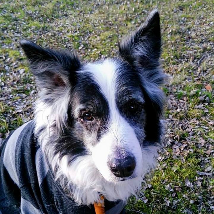 4687e476 fddd 45bd a311 4b9a7c5608db 1772005927197